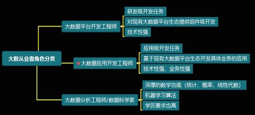大数据开发工程师与数据经济信息咨询 技能融合与职业发展
